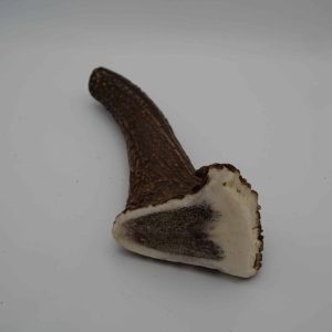 Bois de cerf
