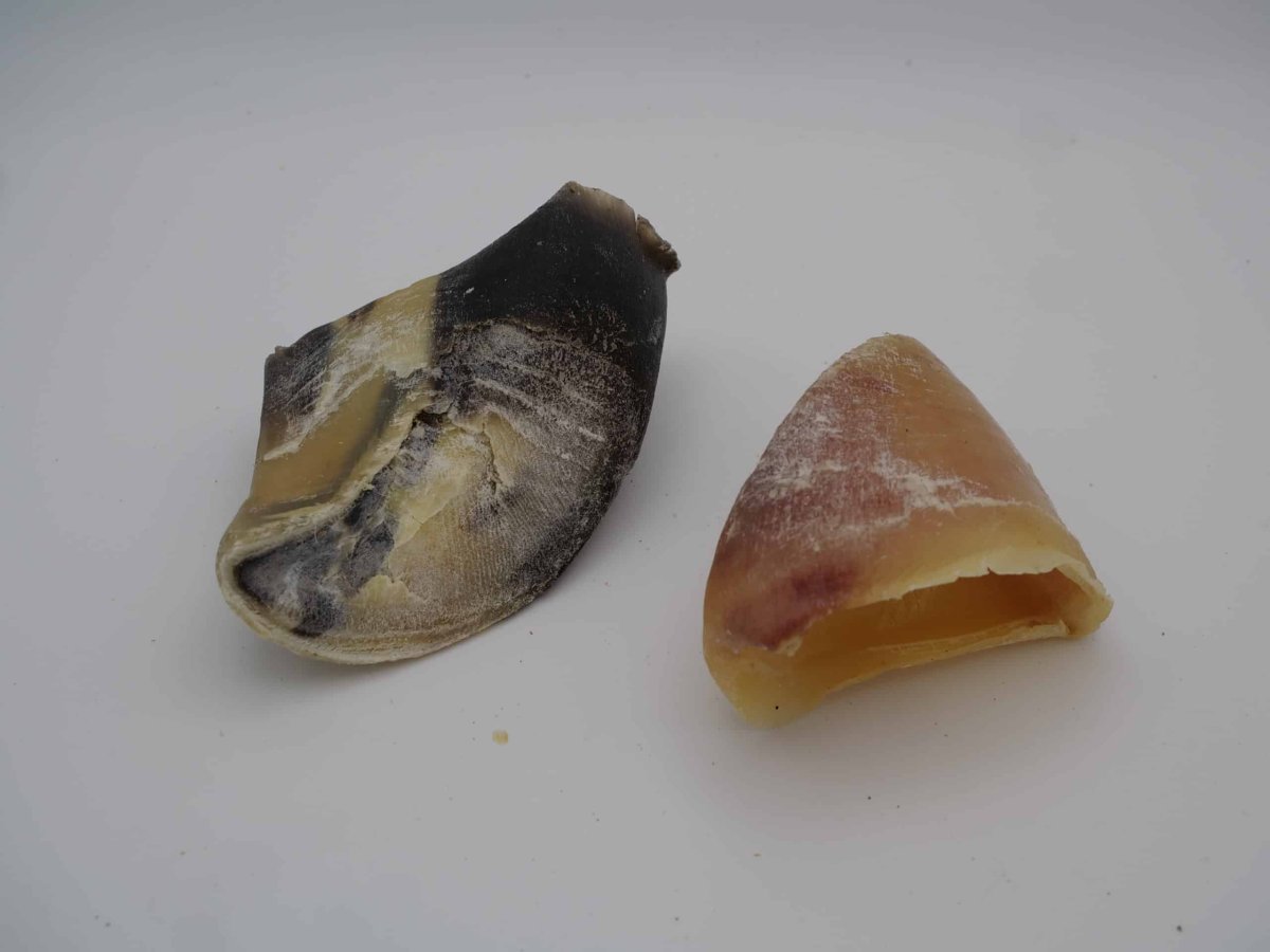 Sabots de veau – Image 2