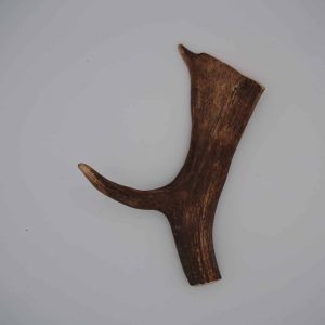 Bois de daim
